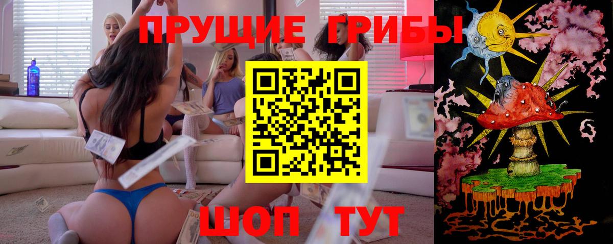 Томск  Псилоцибиновые грибы Psilocybine cubensis  Вход с VPN 