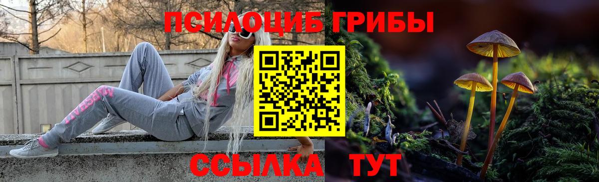 Галлюциногенные грибы GOLDEN TEACHER Томск
