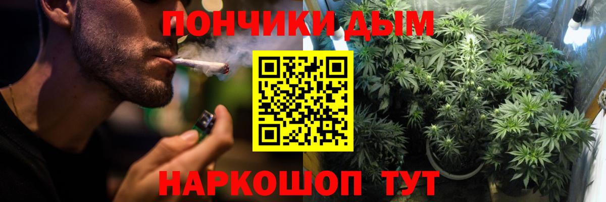 Томск  Конопля марихуана  Вход с VPN  Бошки марихуана сатива 